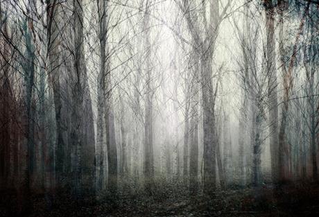 Luis Mariano González, una mirada al mundo de la naturaleza