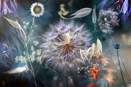 Luis Mariano González, una mirada al mundo de la naturaleza