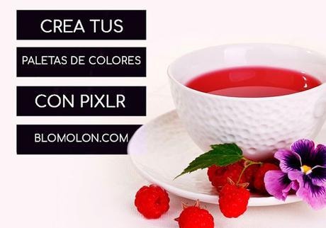 Crea Tus Paletas De Colores Con Pixlr