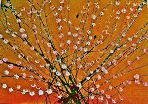 Maria-puerto-fullana-obra-totenart