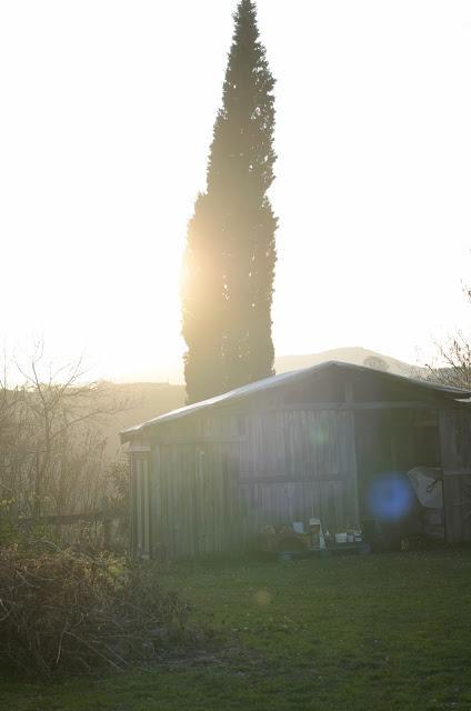 Un poco de magia Un poco de magia