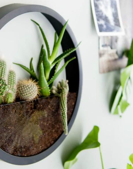 Un terrario de pared realizado con un reloj