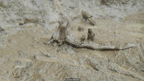 La 'puerta de entrada al inframundo' Siberia, revelan...