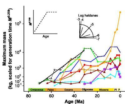 El tamaño sí importa: los gigantes comen presas pequeñas