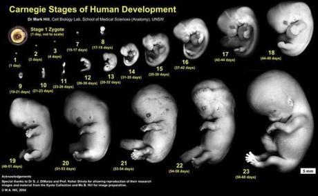 A VUELTAS CON EL DÍA 14
