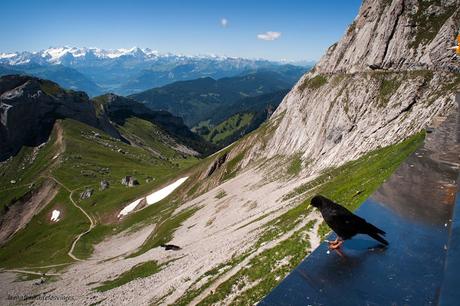 Lucerna (M. Pilatus)