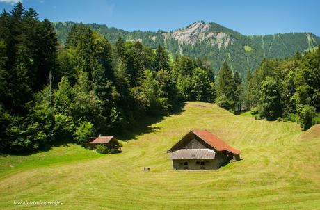 Lucerna (M. Pilatus)