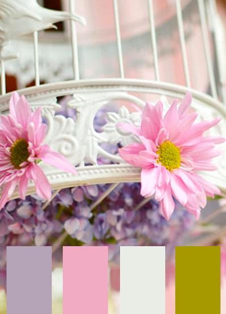 Paletas De Colores 11