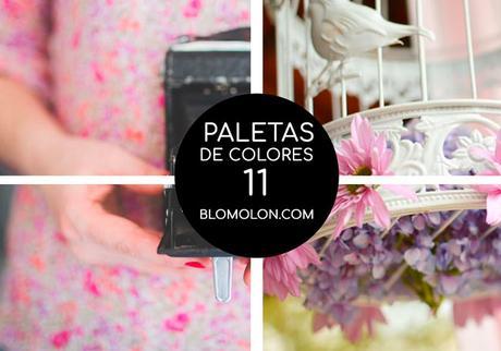 Paletas De Colores 11