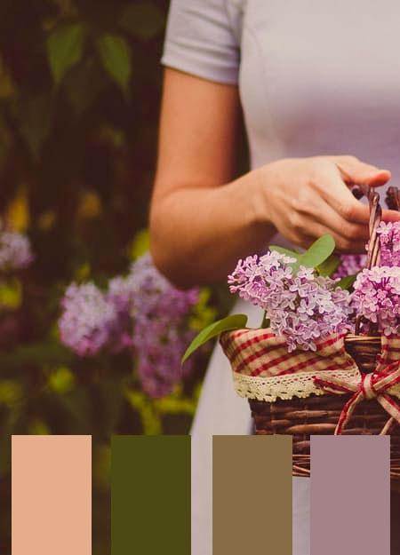 Paletas De Colores 11