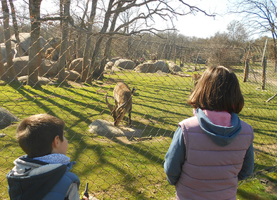 Visita al Centro de naturaleza Cañada Real Imagen
