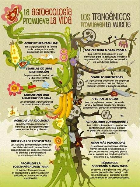 agroecologia-vs-transgenicos-manati