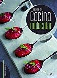 Recetas de Cocina Molecular (Cocina Gourmet)