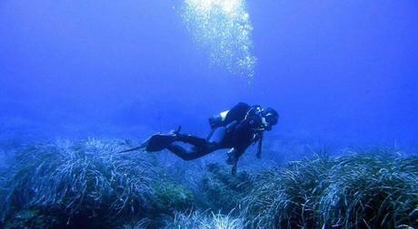 Benidorm, paraíso para la práctica de buceo y submarinismo