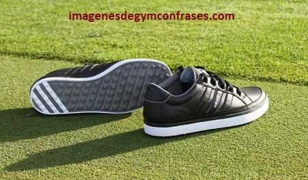 zapatillas adidas originales para hombre moda
