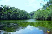 Lago Jalapa -Puerto Viejo de Sarapiquí, Heredia- Lago Jalapa -Puerto Viejo de Sarapiquí, Heredia-