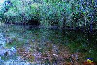 Lago Jalapa -Puerto Viejo de Sarapiquí, Heredia-