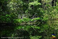 Lago Jalapa -Puerto Viejo de Sarapiquí, Heredia- Lago Jalapa -Puerto Viejo de Sarapiquí, Heredia-