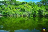 Lago Jalapa -Puerto Viejo de Sarapiquí, Heredia-