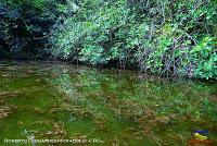 Lago Jalapa -Puerto Viejo de Sarapiquí, Heredia-