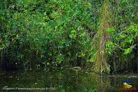 Lago Jalapa -Puerto Viejo de Sarapiquí, Heredia-