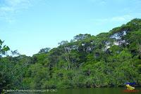 Lago Jalapa -Puerto Viejo de Sarapiquí, Heredia- Lago Jalapa -Puerto Viejo de Sarapiquí, Heredia-