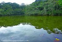 Lago Jalapa -Puerto Viejo de Sarapiquí, Heredia-