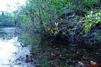 Lago Jalapa -Puerto Viejo de Sarapiquí, Heredia-