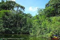 Lago Jalapa -Puerto Viejo de Sarapiquí, Heredia-