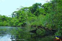 Lago Jalapa -Puerto Viejo de Sarapiquí, Heredia-