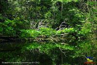 Lago Jalapa -Puerto Viejo de Sarapiquí, Heredia-