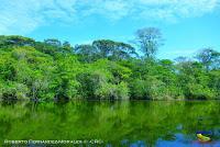 Lago Jalapa -Puerto Viejo de Sarapiquí, Heredia-