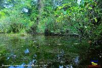 Lago Jalapa -Puerto Viejo de Sarapiquí, Heredia- Lago Jalapa -Puerto Viejo de Sarapiquí, Heredia-