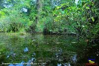 Lago Jalapa -Puerto Viejo de Sarapiquí, Heredia-