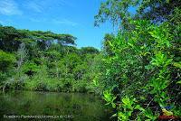 Lago Jalapa -Puerto Viejo de Sarapiquí, Heredia-