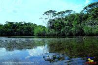 Lago Jalapa -Puerto Viejo de Sarapiquí, Heredia-