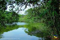 Lago Jalapa -Puerto Viejo de Sarapiquí, Heredia-