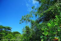 Lago Jalapa -Puerto Viejo de Sarapiquí, Heredia-