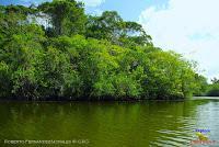 Lago Jalapa -Puerto Viejo de Sarapiquí, Heredia-