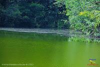 Lago Jalapa -Puerto Viejo de Sarapiquí, Heredia- Lago Jalapa -Puerto Viejo de Sarapiquí, Heredia-