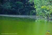 Lago Jalapa -Puerto Viejo de Sarapiquí, Heredia-