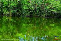 Lago Jalapa -Puerto Viejo de Sarapiquí, Heredia-