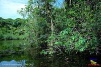 Lago Jalapa -Puerto Viejo de Sarapiquí, Heredia-