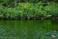 Lago Jalapa -Puerto Viejo de Sarapiquí, Heredia-