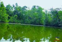 Lago Jalapa -Puerto Viejo de Sarapiquí, Heredia-