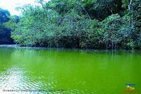 Lago Jalapa -Puerto Viejo de Sarapiquí, Heredia- Lago Jalapa -Puerto Viejo de Sarapiquí, Heredia-