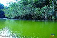 Lago Jalapa -Puerto Viejo de Sarapiquí, Heredia-