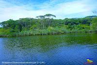 Lago Jalapa -Puerto Viejo de Sarapiquí, Heredia- Lago Jalapa -Puerto Viejo de Sarapiquí, Heredia-