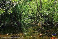 Lago Jalapa -Puerto Viejo de Sarapiquí, Heredia-