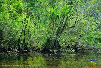 Lago Jalapa -Puerto Viejo de Sarapiquí, Heredia-